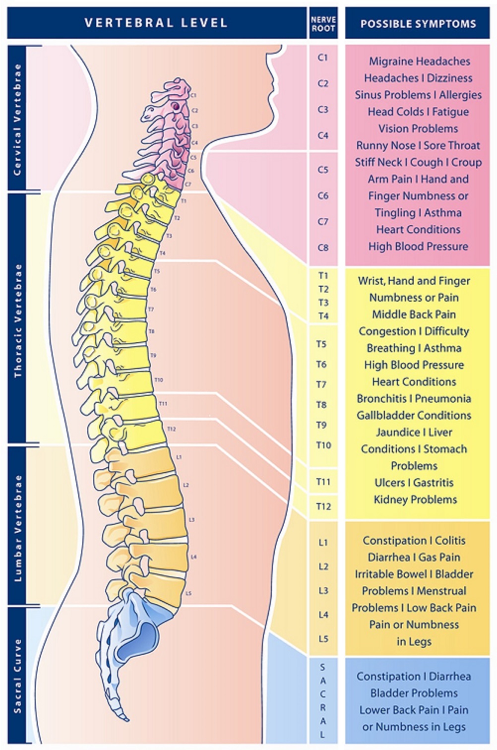 chiropractic services